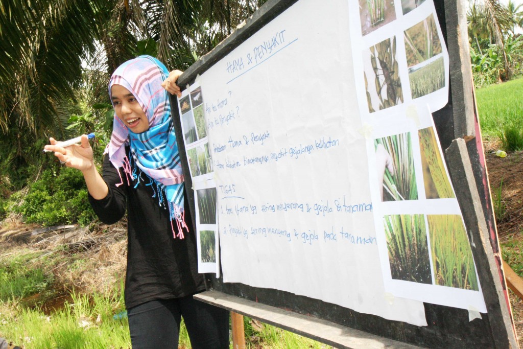Field Facilitator tells about pest and diseases to her student farmers at the Farmer Field School.